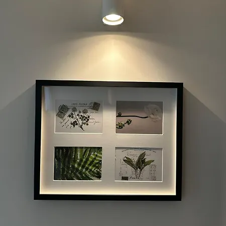 Dimore Del Borgo * Catania